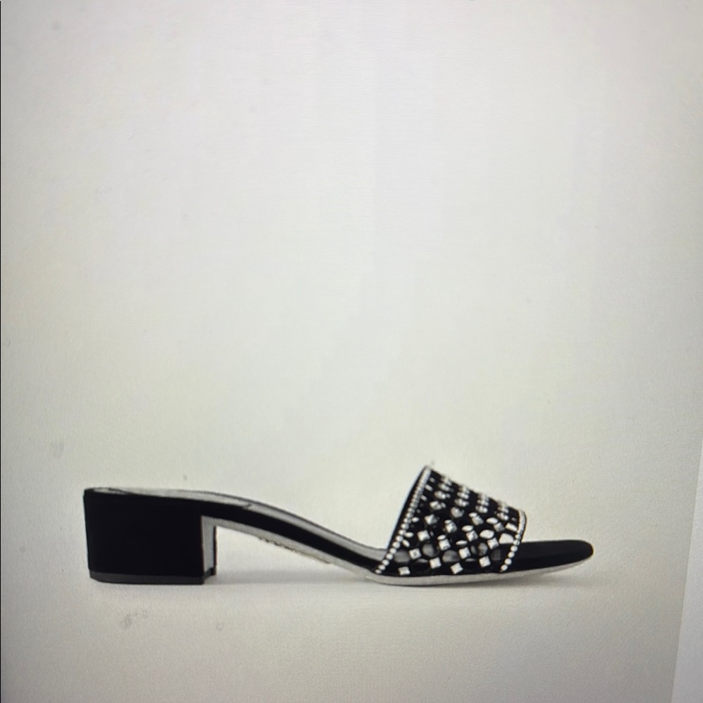 Rene Caovilla Black and Silver Mules with Sleek Design